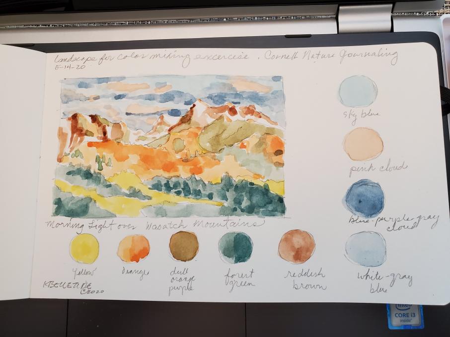 Landscape color mixing --Cornell Nature Journaling 5-2020 KBelletire