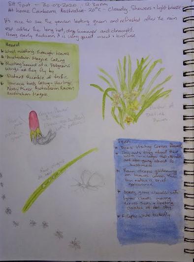 Journal page - 30-03-2020 - Nature Journalling and Field Sketchin Course