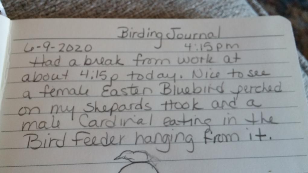 Birding Journal - Copy