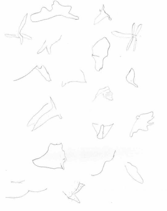 drawing with Movement