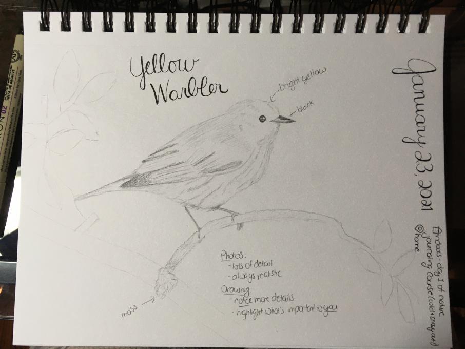 Nature Journal Day 1