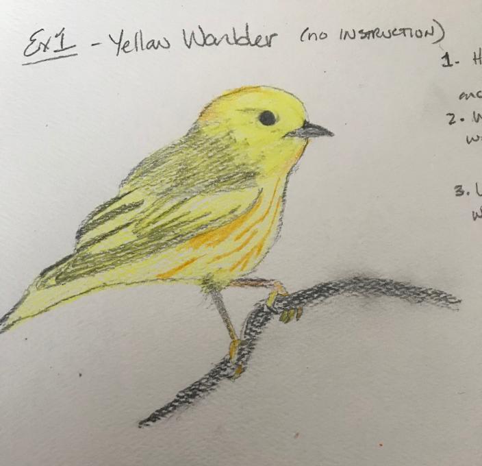Ex1-YellowWarbler
