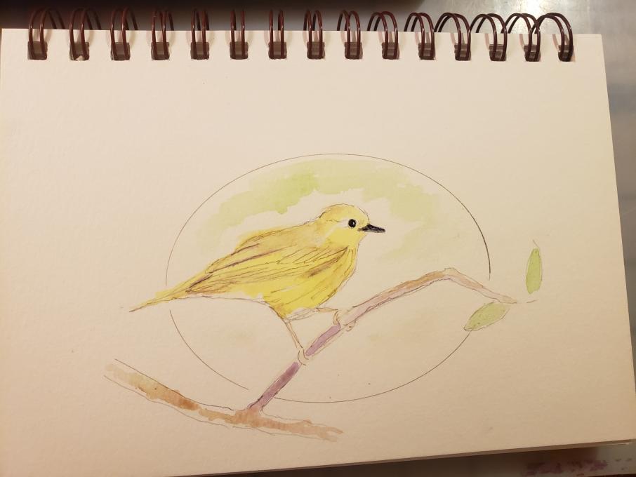 Journal class yellow bird
