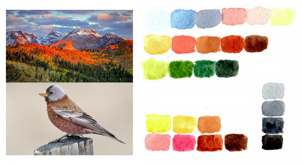 Capturing Nature’s Color Palettes