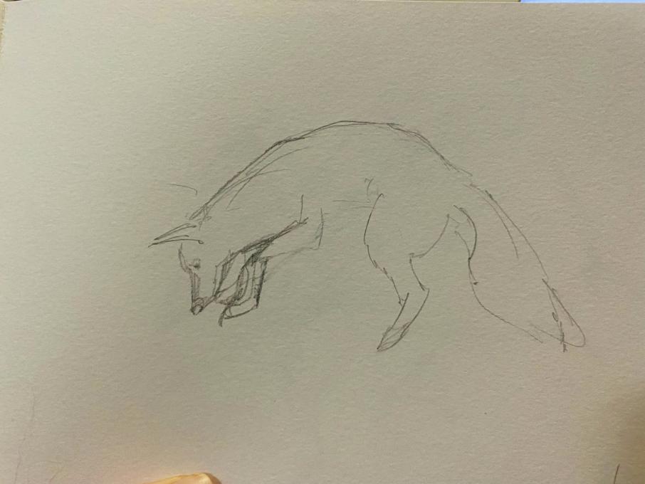 Gesture Drawing Puncing Fox