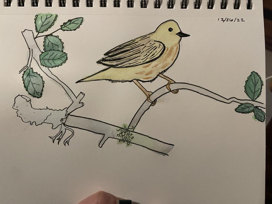 pre - yellow warbler