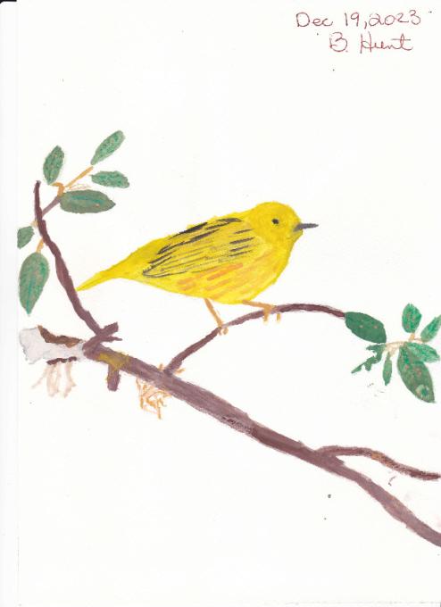 Yellow bird 1