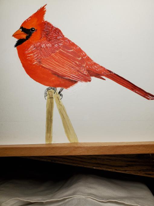 cardinal paintimg