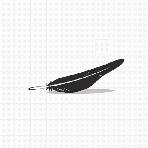 Illustrated flight feather