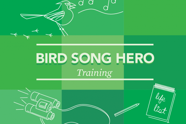 Bird Song Hero Training thumbnail
