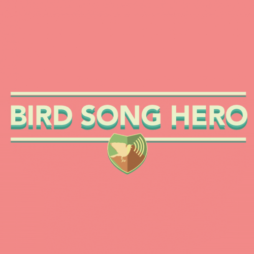 Bird Song Hero Game thumbnail